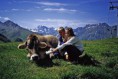 /album/fotogalerie/silvretta9-jpg1/