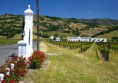 /album/fotogalerie/kalifornien-napa-valley5-jpg1/