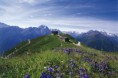 /album/fotogalerie/stubai-summer-4-jpg/
